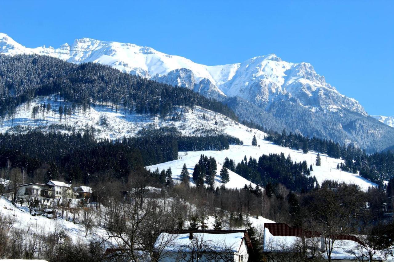Milea's Bran (Brasov)