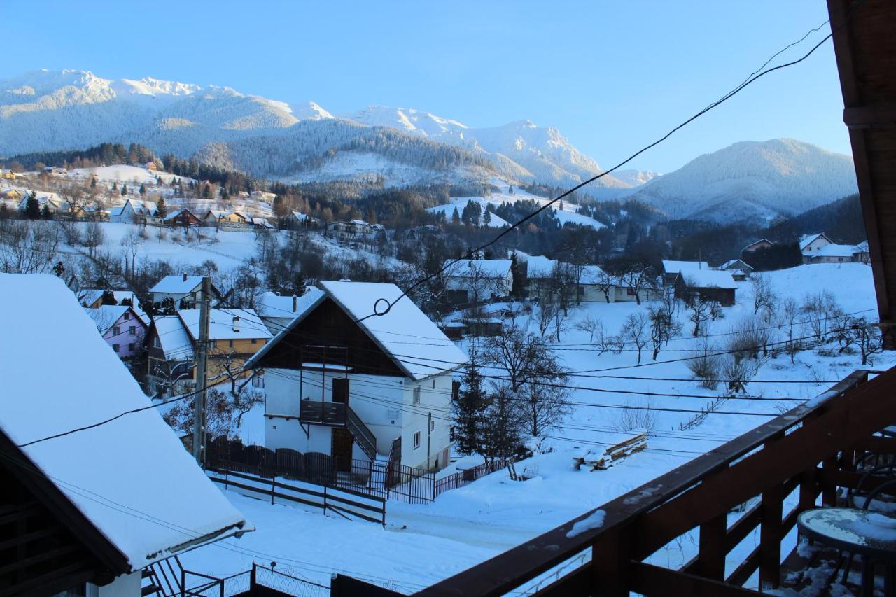 Milea's * Bran (Brasov)